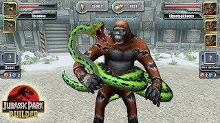 Gigantopithecus Vs Titanoboa Who is Most Powerful | Fight - Jurassic Park Builder