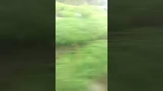 beautiful train view