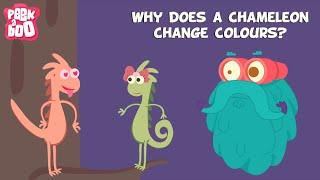 Why does a Chameleon change colors? | The Dr. Binocs Show | Educational Videos For Kids