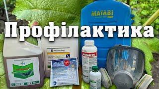 Профілактика від грибкових захворювань винограду. Перевірена схема захисту вашого урожаю