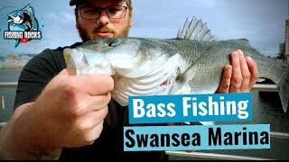 Bass fishing Swansea Marina