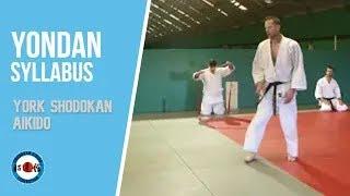 Shodokan Aikido Yondan syllabus - Section 3: Waza vs strikes - pt 3 (explanation)