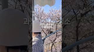과천시민이라면 받을 수 있는 혜택?! #서울랜드 #스카이리프트' | By 안도현 기자