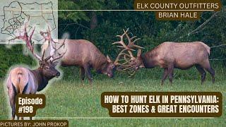 HOW TO HUNT ELK IN PENNSYLVANIA | BEST ZONES & ENCOUNTERS | W.BRIAN HALE | ELK COUNTY OUTFITTERS