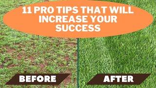 Overseeding Lawn   11 tips that will ensure your success