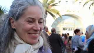 WSF Tunisia 2013 - Nicola Bullard (Focus on the Global South)