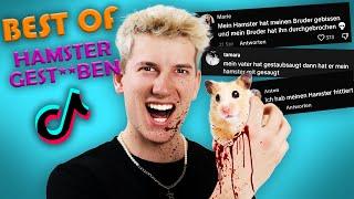 Best of Hamster TikToks | Strizi09