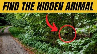 Find the Hidden Animal - QUIZ