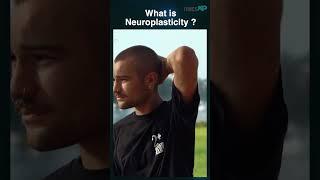 Neuroplasticity and function of brain, How does it synchronise | Timesxp