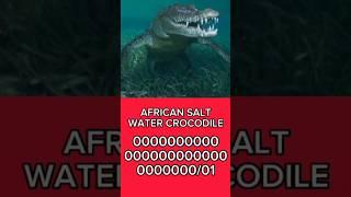 African Salt Water Crocodile  #shorts