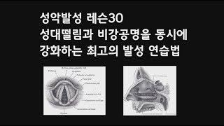 성악발성 레슨30 비강공명과 성대떨림을 동시에 강화하는 최고의 발성 연습법