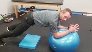 Core Exercise for Low Back Pain | Stir the Pot | Chesterfield Chiropractor