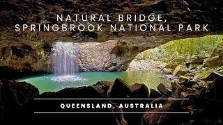 Exploring Natural Bridge and Springbrook National Park, Queensland Australia 