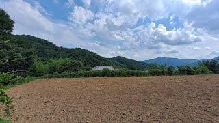 북삼읍 숭오리 용천수 마을 전원주택지 연수원부지 토지매매