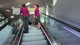 Hamad International Airport Tour Departures Qatar 2024 4K