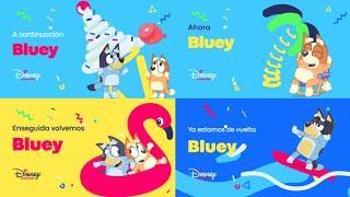 Disney Channel España/Spain HD | Bluey | Cortinillas/Bumpers | Verano/Summer 2024