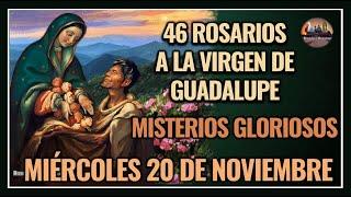 46 ROSARIOS A LA VIRGEN DE GUADALUPE MISTERIOS GLORIOSOS - GUADALUPANO / MIÉRCOLES 20 NOVIEMBRE 2024