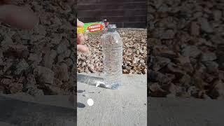 TNT Confetti  Popper vs water bottle  #shorts #fireworks