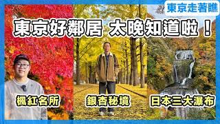 銀杏與楓紅的秘境＋日本三大瀑布，東京的好鄰居 - 茨城縣｜水郡線三日遊｜袋田瀑布