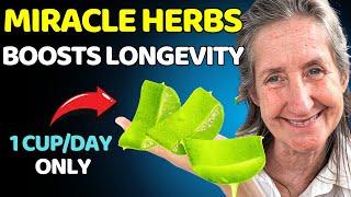 12 MIRACLE HERBS And Houseplants That Can Help You LIVE LONGER | Barbara O’Neill