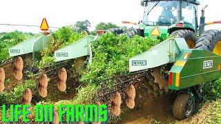 Peanut Harvesting Machine How to Harvest Peanut in Farm Modern agriculture 2020