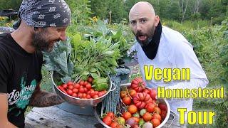 What is a "Vegan" Homestead?