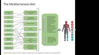 Choosing antioxidants for therapeutic intervention, with Dr Nina Bailey