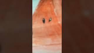 drawing a realistic watermelon#viral #shorts #aesthetic #drawing #watermelon