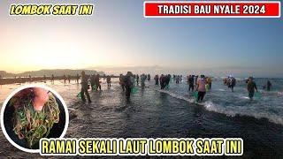 RAMAI SEKALI TRADISI BAU NYALE DI LOMBOK SAAT INI TAHUN 2024 PART 1