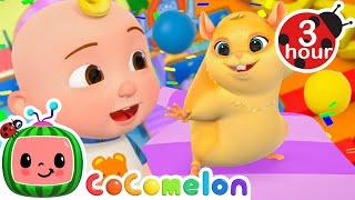 Hamster Escapes The Color Maze  CoComelon Nursery Rhymes and Kids Songs | After School Club