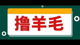 撸币圈空投羊毛，全套实操教程，币圈app多开撸毛技术教程，如何才能撸到大毛？如何通过撸羊毛赚到人生的第一个100万！