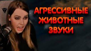 Алина Рин : Агрессивные животные звуки ► AlinaRin Rofls