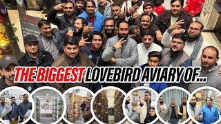 The Biggest Lovebird Aviary Of…..