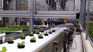 Automated agriculture l (strawberries, tomatoes, facility cultivation, quail eggs, mushrooms)