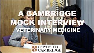 Cambridge Mock Interview for Veterinary Medicine