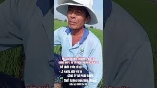 Hiệu Quả Bất Ngờ Sau Khi Sử Dụng Sản Phẩm CANXI BMFE p1  #bmfe #caylua
