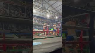 Haven Lough boxing highlights