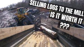 Was Selling A Load Of Logs To The Mill Worth It?