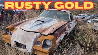 The Hidden Treasures of A Junk Yard Old Cars & Trucks Revealed