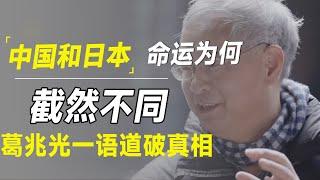 2025年中国经济“日本化”，但与日本的命运却截然不同？葛兆光一语道破真相