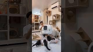 Alhamdulillah dikasih litter box otomatis dari teman online Pixie 🫶 Part 1