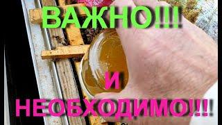 ПРОФИЛАКТИЧЕСКАЯ ПОДКОРМКА ОТ НОЗЕМАТОЗА!!!