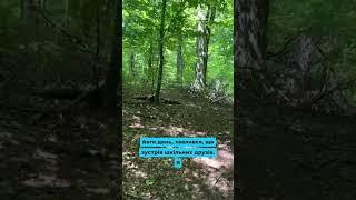 Вона-моє шкільне кохання(продовження на каналі) #історіїзжиття #життя #історії