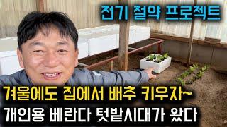 겨울에 개인 베란다 텃밭 만들기 프로젝트 겨울에도 상추 심어요