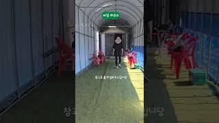 시골갬성 충만한 비닐하우스 #농막 #주말 #일상