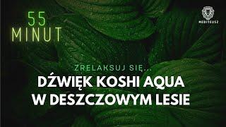 RELAKS W DESZCZOWYM LESIE + DZWIĘKI DZWONKA KOSHI AQUA / DO MEDYTACJI / RELAKSU / ZASYPIANIA...