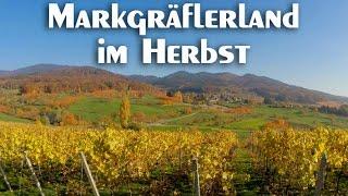 Spaziergang durchs herbstliche Markgräflerland.