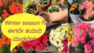 Kalanchoe ಮತ್ತು poinsettia ಗಿಡಗಳು winter season ನಲ್ಲಿ ಹೂವು ಚೆನ್ನಾಗಿ ಬರಬೇಕೆಂದರೆ ಈಗಲೇ ತಯಾರಿ ಮಾಡಿಕೊಳ್ಳಿ