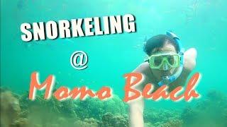 Getaway @ Momo Beach House in Bohol | Best Snorkling Spot