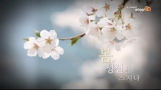 [atooTV] 짧지만 화려했던 성신여대의 봄,'벚꽃엔딩'